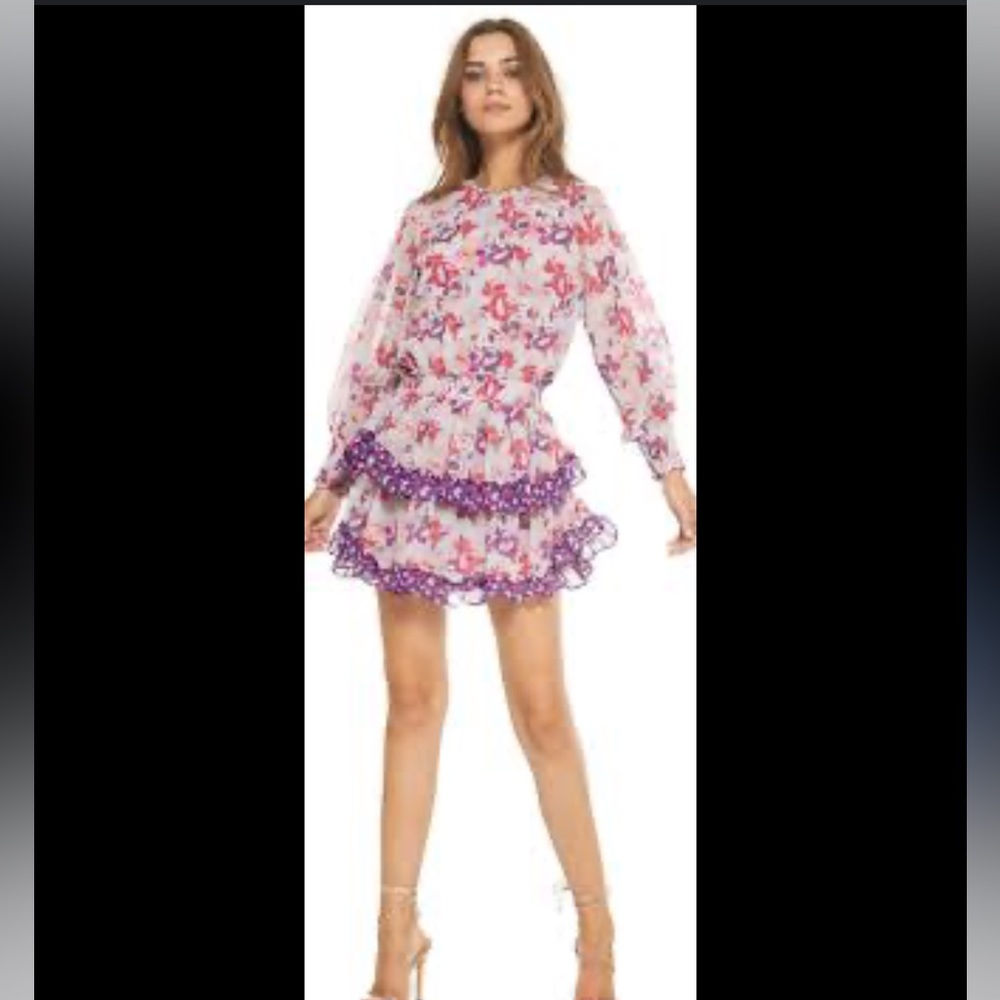 Misa Los Angeles Camila ruffle mini dress, size S
